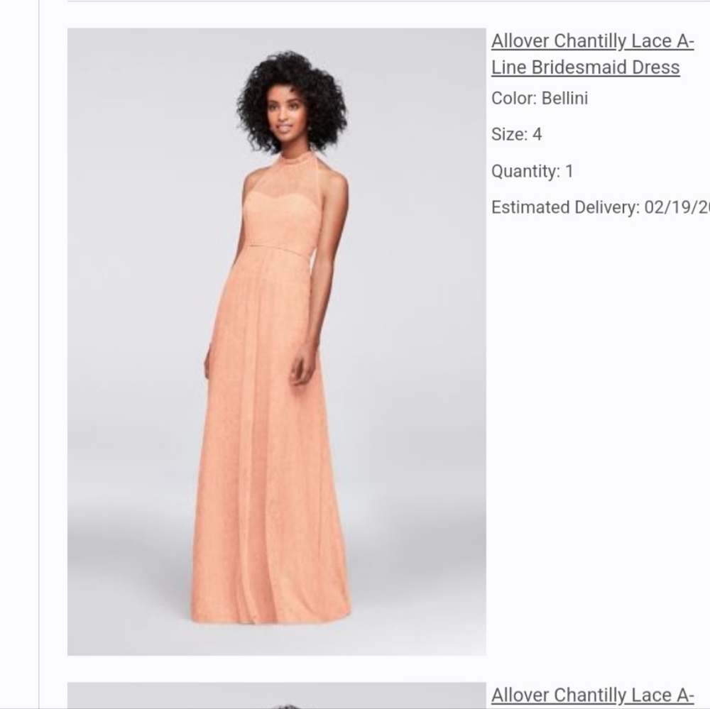 Bridesmaid dresses NWT